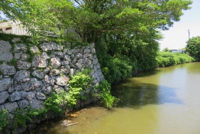 2018梅雨、三重の名城巡り(4/10):6月16日(4):田丸城(4):村山龍平記念館、大手門跡、堀跡、紀州街道石標、武家屋敷跡