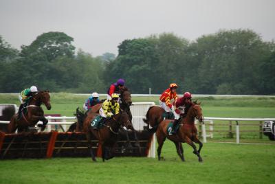 イギリス競馬周遊（３）　（4日目：ウォーリック城、ウォーリック競馬場）