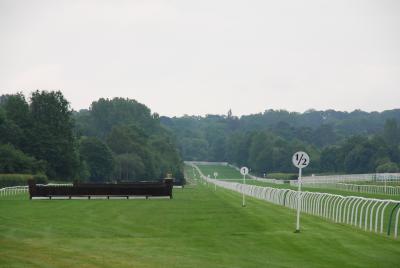 イギリス競馬周遊（４）　（5日目：リングフィールド競馬場）