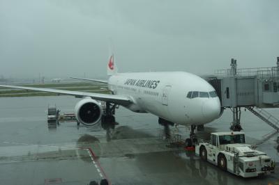 日本航空 JL029/026 羽田⇔香港 エコノミークラス 搭乗記