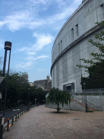 朝の散歩 目黒川緑道