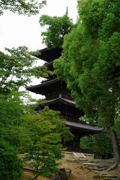 京都1泊駆け足観光2日目は広隆寺、仁和寺、東寺で国宝仏像を参観。