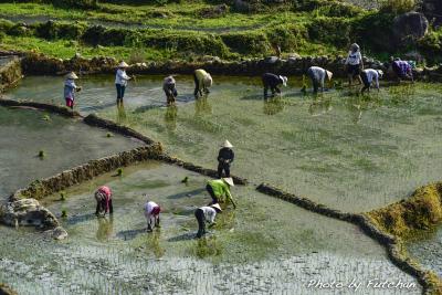 ベトナム最北の地を巡って(3) 304　～ ダオサンの日曜市 ～