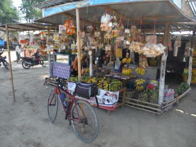 ミャンマー自転車旅その8-バガンからミンジャンへ