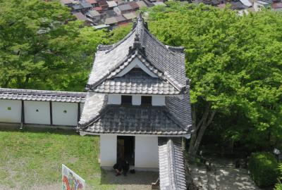 2018春、岐阜と愛知の名城(4/12)：郡上八幡城(4)：城下町の眺望、ジオラマ展示