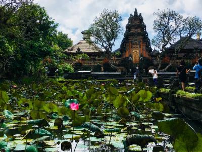 Ubud～Sidemen 1人旅  Day 1