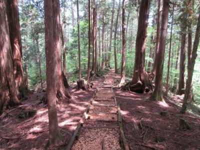 赤沢自然休養林と寝覚の床を巡る旅
