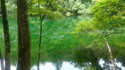 四季を通して楽しむ湯沢＜初夏編＞/ Enjoying Echigo Yuzawa through a year &lt;Early　Summer&gt;