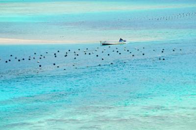 南の島の青い空と海に魅せられて（石垣島編）