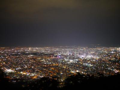 日本新三大夜景の藻岩山はいかに！！？北海道絶景満喫旅＠とみたメロンハウス＊ジェットコースターの路＊四季彩の丘＊赤い屋根のある丘＊ケンとメリーの木＊麺屋 彩未＊藻岩山＊パフェ、珈琲、酒 佐藤