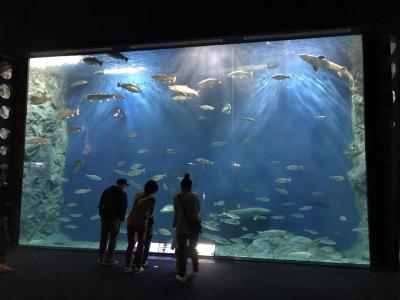 週末北海道③【小樽、千歳】6歳&8歳&72歳と弾丸旅行