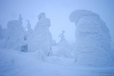 世界が認めた日本の絶景！蔵王樹氷原 with 樹氷幻想回廊ナイトクルージング