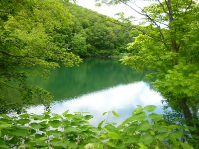 バースデー割で山形へ、さくらんぼ狩り＆蔵王温泉♪