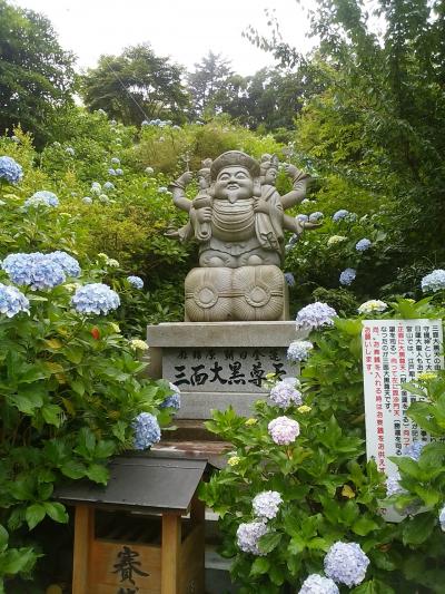 ６月２９日　見頃を迎えた２万株の紫陽花、千葉県大多喜　麻綿原天拝園