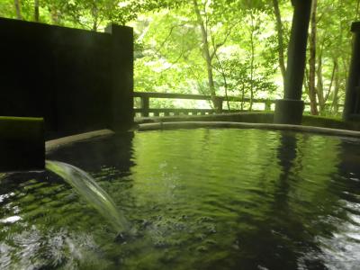 【ANAマイル旅】梅雨の合間に…2~優雅な温泉三昧で至福のひと時…~