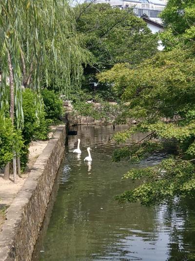 倉敷と岡山市 一泊二日の旅