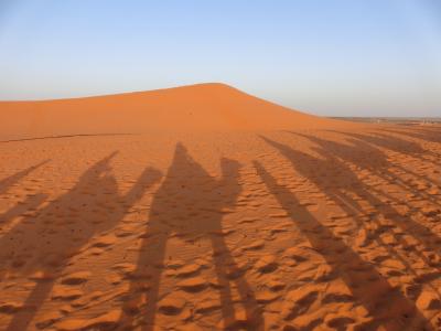 ターキッシュエアラインで行くモロッコの旅８日間-5日目　サハラ砂漠の日の出