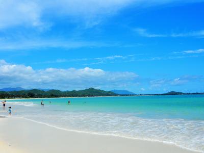 ハワイに関する旅行記・ブログ(308ページ)【フォートラベル】
