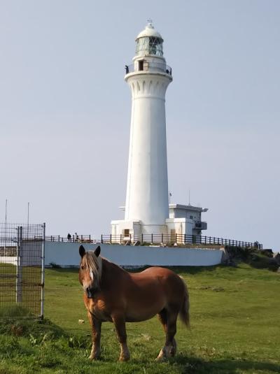 chokoっと散歩～寒立馬に会いに下北半島へ～