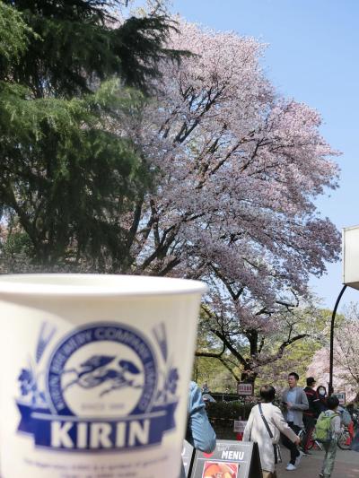 きぬた公園のお花見とパリジェンヌ展(2018年4月)