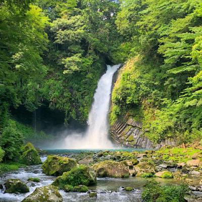 プラチナチャレンジ⑧伊豆マリオットホテル修善寺