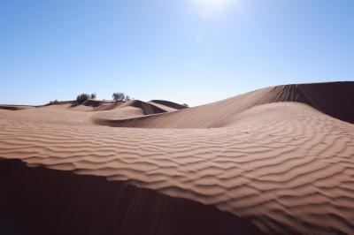 いざ！サハラ砂漠へ☆モロッコ・ドバイ女ひとり旅4〈トレッキングツアー2日目〉