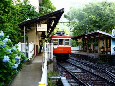 箱根旅　あじさい電車とガラスの森美術館