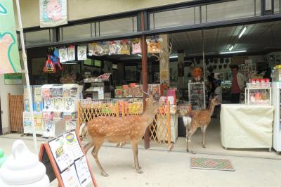 はじめての奈良、日帰りの旅