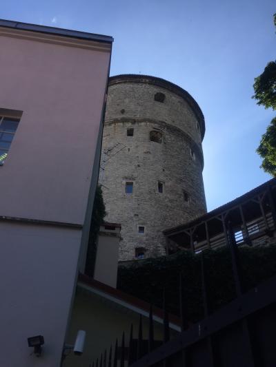 フィンランド・エストニア旅行記【5日目】