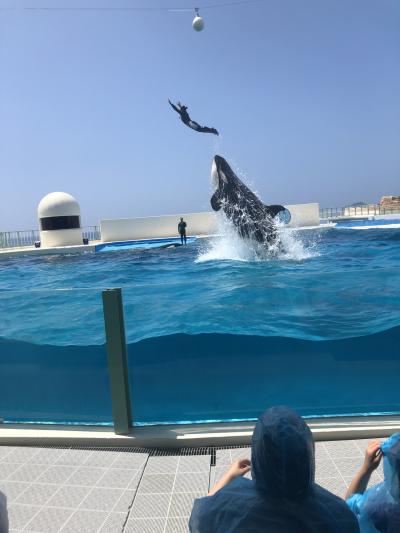 夏の鴨川シーワールド☆鴨川シーワールドホテル泊　①