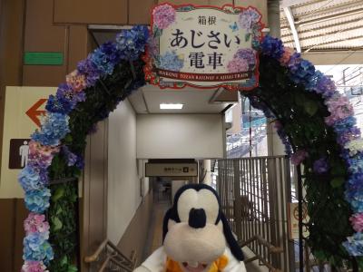 グーちゃん、臨時合宿で箱根湯本温泉へ行く！（グーちゃんＪＡＰＡＮの戦いとは？編）