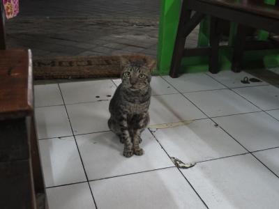 ゆーぢよ旅日記　バリ島5日間～4日目～