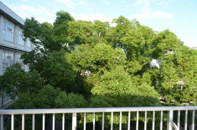 卒業した小学校、半世紀ぶり