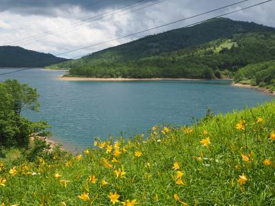 白砂山～八間山　ノゾリキスゲ咲く素敵な稜線ハイク○o。.　野反湖から周回(^^♪