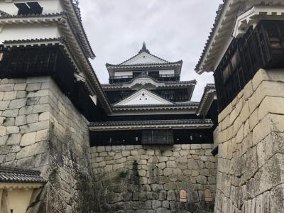 27日振りの松山またまた雨に祟られる・・・その２　松山城内と絶品とんかつを食す。