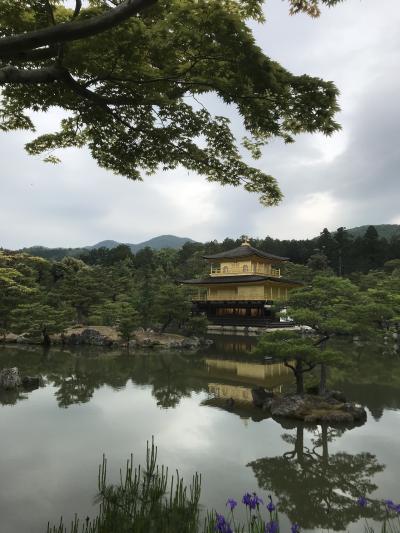 京都へレリゴー