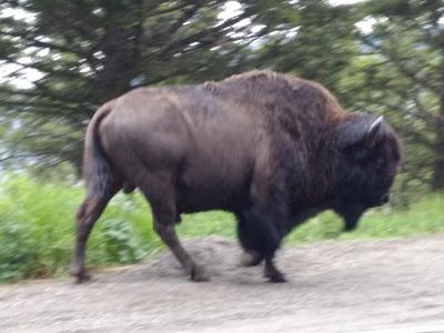 初老夫婦のアメリカ中西部国立公園巡り4200Kmドライブ旅行（第6日目）