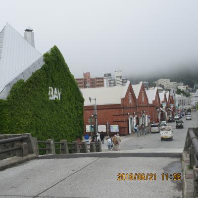 北海道：函館・朝市・赤レンガ と 湯の川温泉