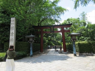 猫探し【東京（根津神社・Nezu shrine）編】