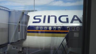 シンガポール一人旅