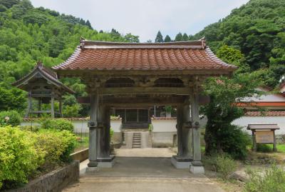 2018梅雨、島根の名所(13/15)：6月25日(9)：石見銀山(5)：極楽寺跡、西本寺、立葵