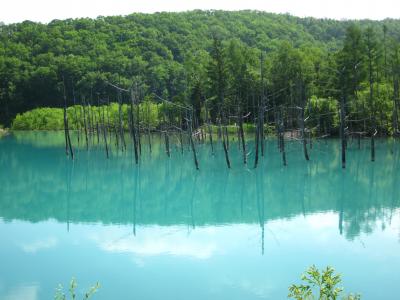 18　新緑の北海道　神秘の青い池から花畑咲く富良野エリアへぶらぶら歩き旅ー３