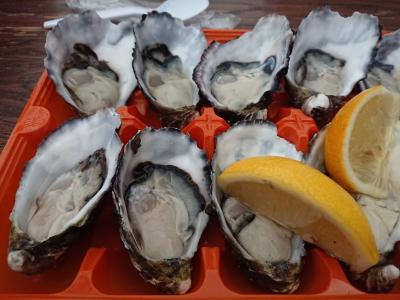 オーストラリアの生牡蠣を食す！