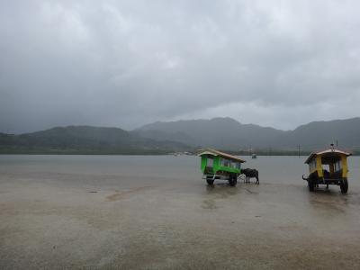 梅雨逆戻り？初めての八重山夏休み2018●竹富・西表島編●