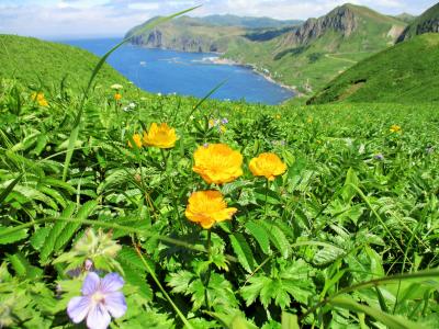 花咲く島を歩く　＊　礼文島　４日目