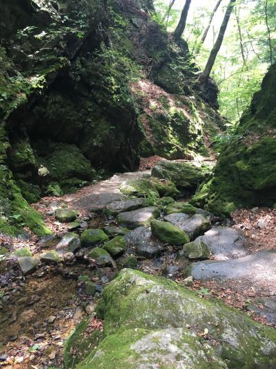 御岳山とロックガーデン