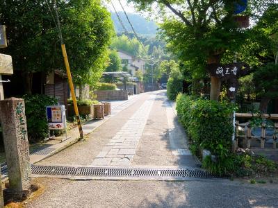 京都　奥嵯峨野　竹林の小径から祇王寺