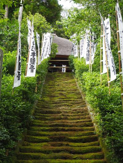 杉本寺　苔の階段が余にも美しい!　鎌倉随一の古寺。上がって仏像を拝見出来る観音堂。