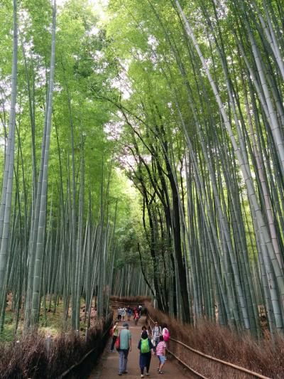 地元「京都」にいながら、今まで一度も京都嵐山方面への観光でお泊まりしたことがなかったことから、今回、初めて1泊2日の「嵐山観光」旅行でお泊まりしながら「嵐山温泉」でのグルメに舌づつみしました（京都嵐山2日目）