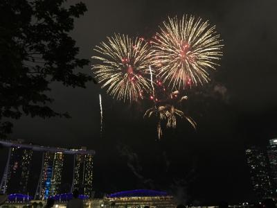 2度目のシンガポール 花火も見れちゃうナショナルデーリハーサル! １、2日目